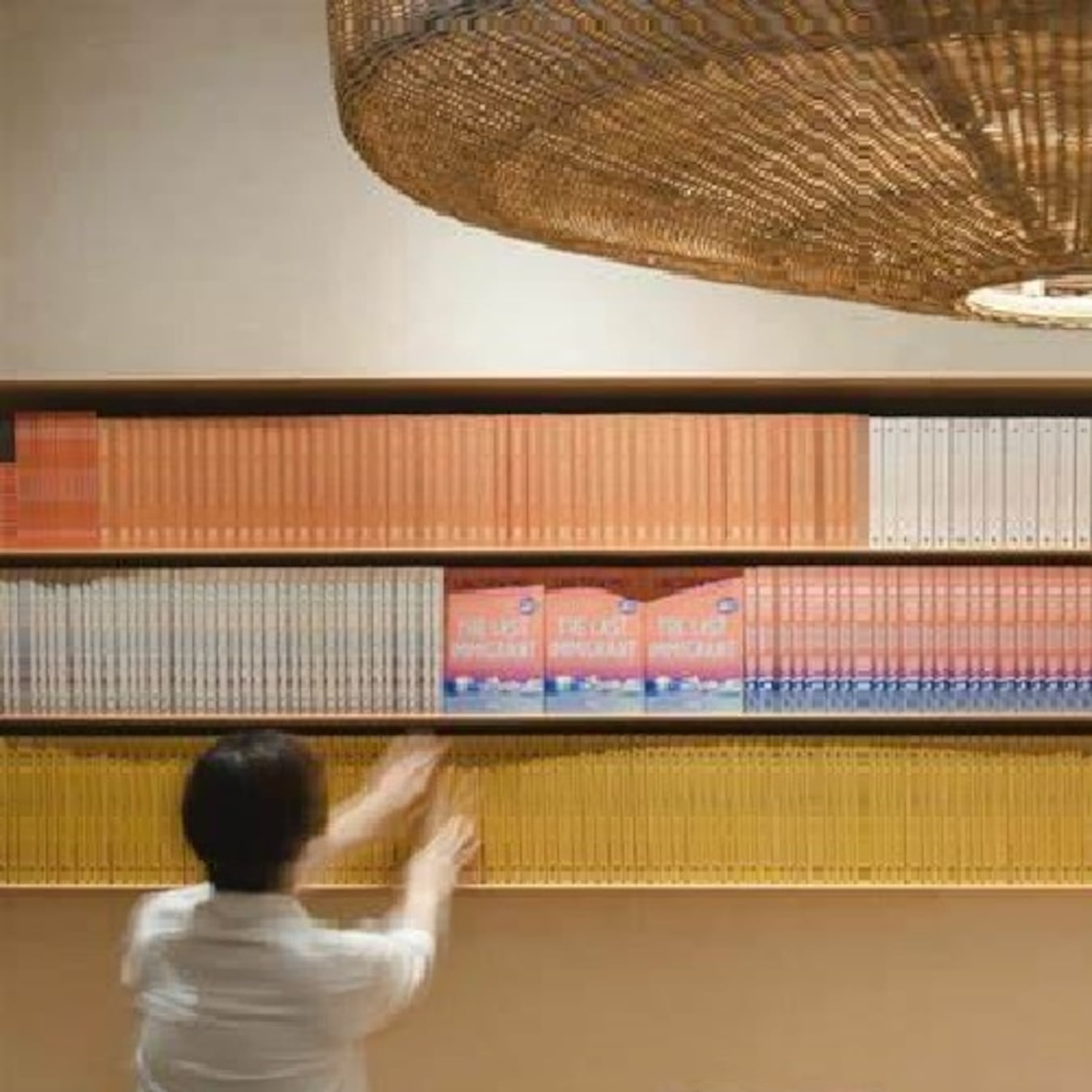 Project-Aesop Women's Library: Voices Unbound